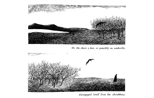 From THE OBJECT-LESSON by Edward Gorey